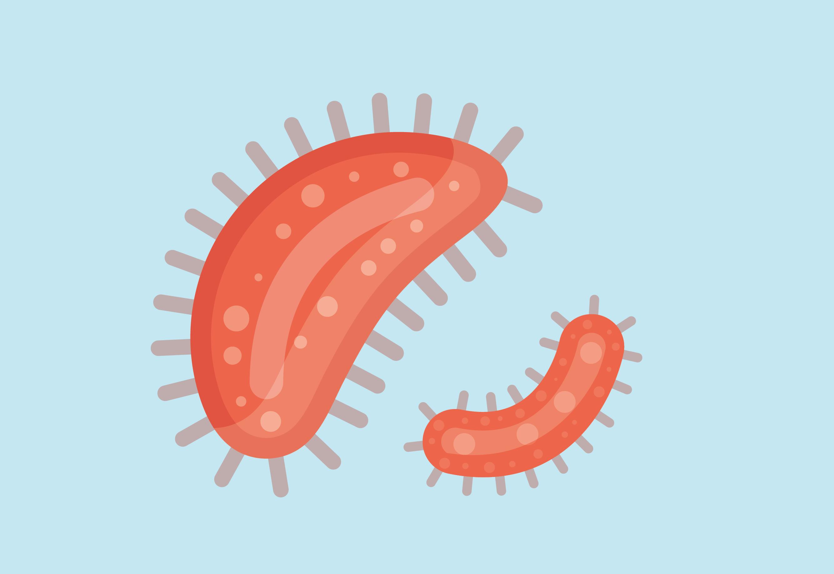 Icon illustrating disease germ